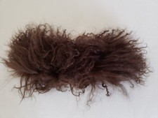 Brown Mongolian Tibetan Lamb