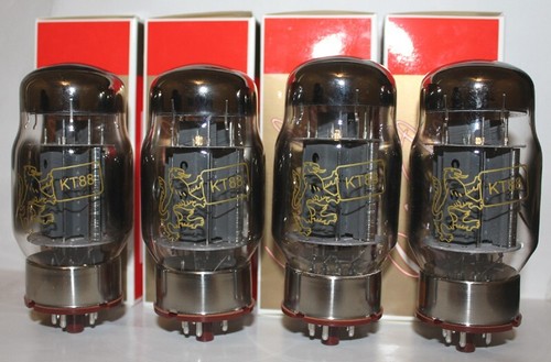 Matched quad genalex gold lion - quad,