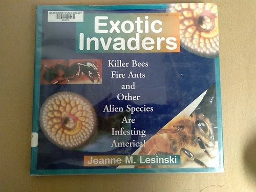 Exotic invaders killer - exotic, bees