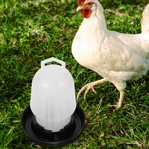 Automatic drinking fountain - automatic,
