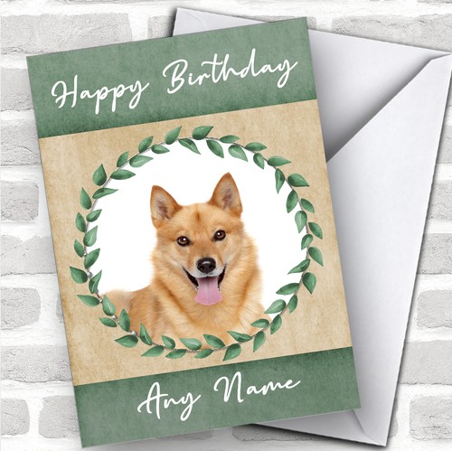 Finnish spitz dog green - dog,
