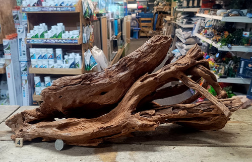 Large mangrove 60cm root - large,