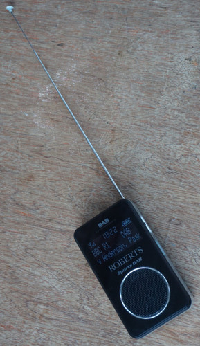 Roberts sports dab fm - dab,
