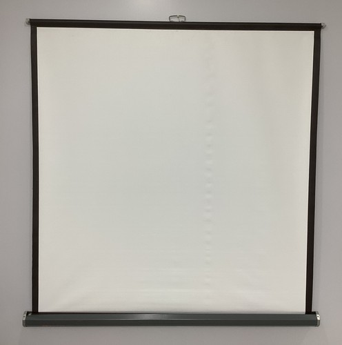 Lite picture projector - da-lite,