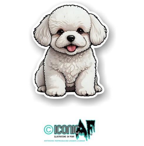 Funny cute bichon frise puppy - bichon,