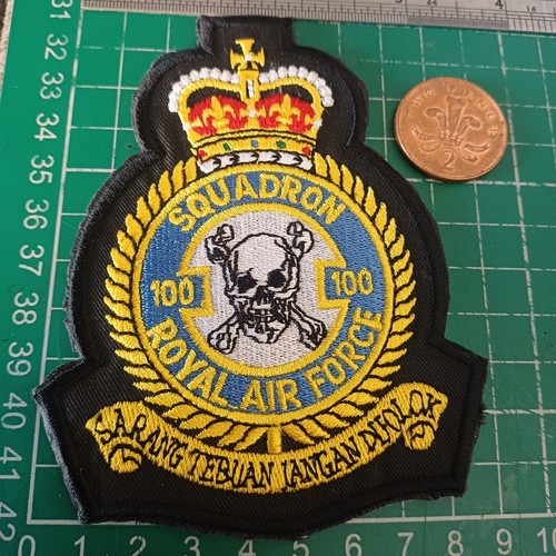 100 squadron - 100, crown)