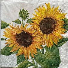 IHR LUNCH NAPKINS - Pack of 4