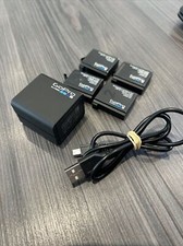 Genuine GoPro Dual Battery