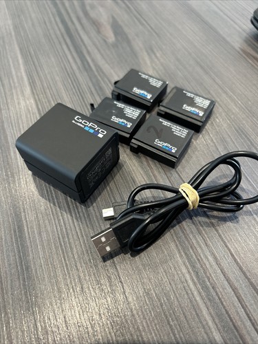 Genuine gopro dual battery - genuine,