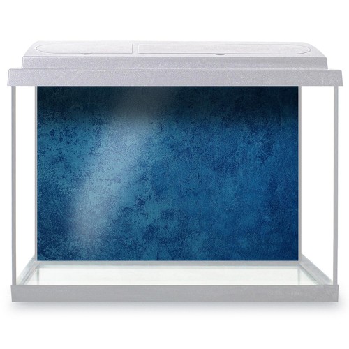 Fish tank background beautiful - fish,