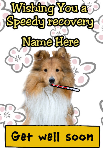 Shetland sheepdog dog - dog, greeting