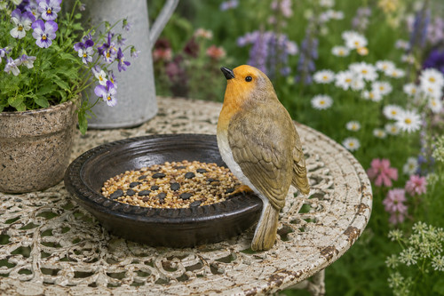 Robin bird feeder garden - bird,