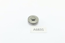 Yamaha TW 125 DE05 2002 - Oil strainer cover engine cover A6837