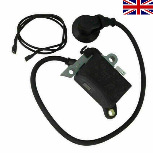 Ignition module coil hole - ignition,