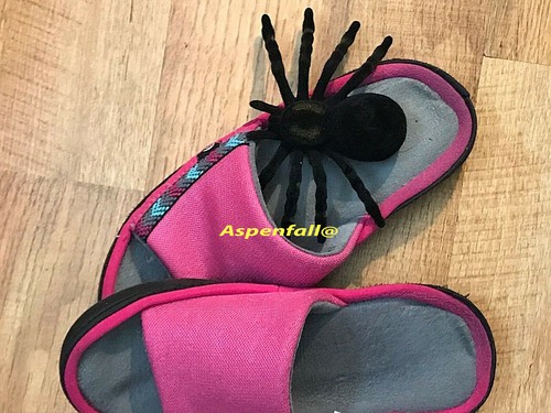 Realistic black spider - realistic,