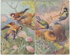 2 CARDS - BIRDS, A E KENNEDY -