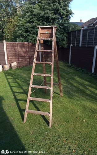 Step ladders thread wooden - ladders, 7