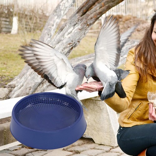 Bird nest breeding hatching - bird,
