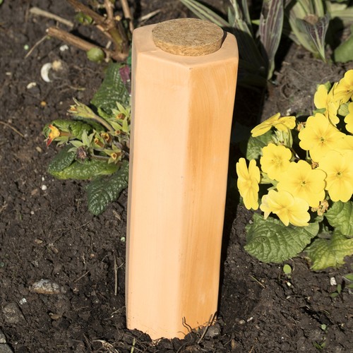 Terracotta plant watering - terracotta,