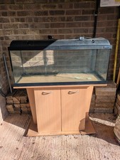 Large Light-Glo Aquarium Fish