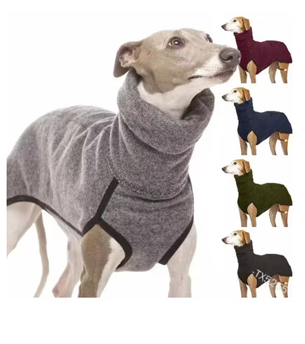 Pet dog winter high - winter, collar