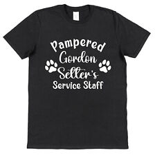 Pampered Gordon Setter's