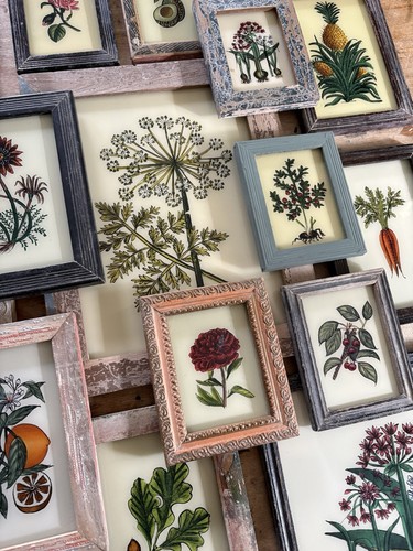 Botanical reverse glass - botanical,