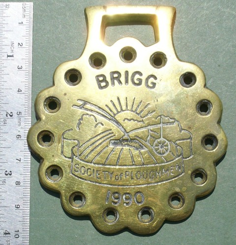 Horse brass brigg society - horse,