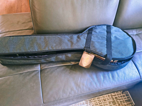 Guardian cases banjo gig bag - guardian,