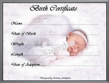 SILVER GREY BIRTH CERTIFICATE/CERTIFICATES 4 REBORN FAKE BABY DOLL approx 7"x 5"