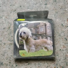 Cup & Coaster Set Of A Dandie Dinmont Dog Standing On Grass