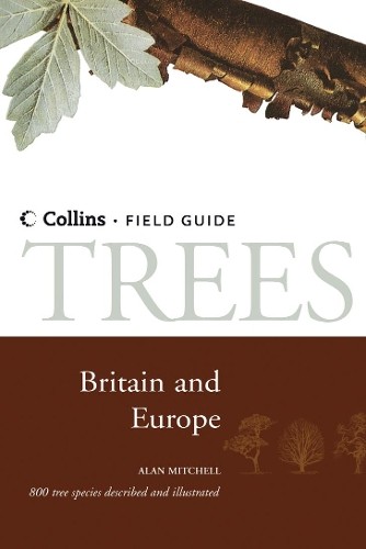 Trees britain and northern - britain,
