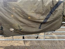 6’0 Turnout Rug Weatherbeeta Arion Heavyweight High Neck Used Good Clean Cond