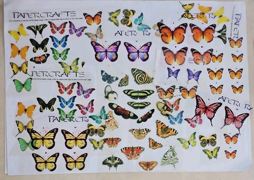 Huge papercraft job - huge,