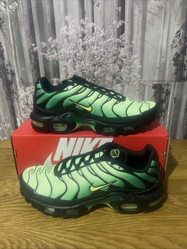 Nike air max plus - air,