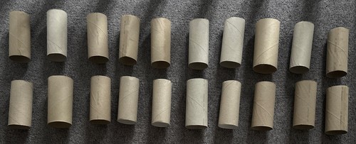 Empty toilet roll tubes - toilet,