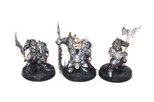 Gamezone Orc army well painted