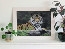'Hunter' by S. Fields. Original Tiger Wildlife Soft Pastel Painting. 