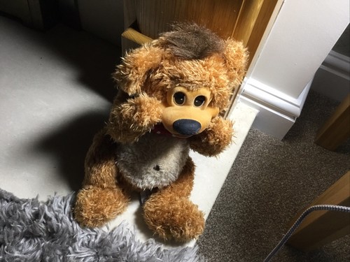 Vintage tomy big brown - tomy,