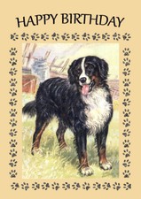 BERNESE MOUNTAIN DOG GREAT BIRTHDAY GREETINGS NOTE CARD 