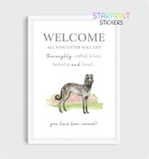 Deerhound "Welcome"