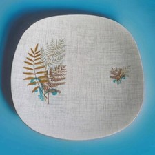 J & G Meakin 1950s Rock Fern