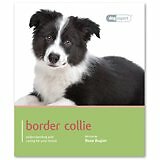 Border Collie - Dog
