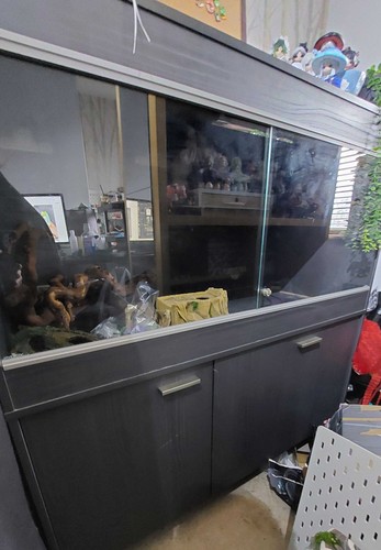 Vivarium with cabinet 4h - with,