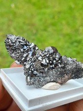 Sphalerite Crystals, Nenthead Cumbria, British Minerals + Display Box