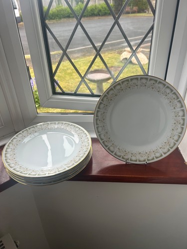 Noritake sonia dinner plates