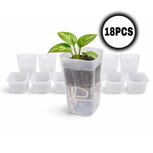 Self watering plant - self,