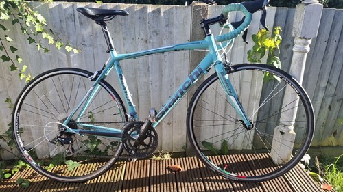 Bianchi via nirone - bianchi, 55cm