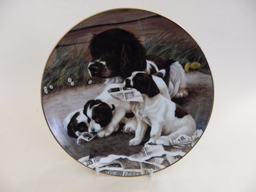 Franklin mint collector - mint,