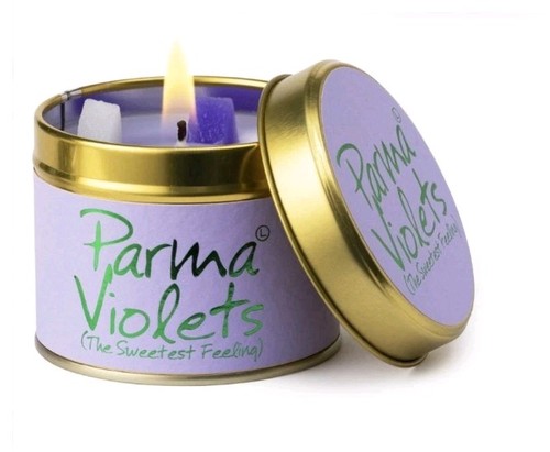 Lily flame festive parma - festive,